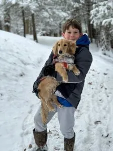 Creme of the Crop Miniature Dachshunds Cream Puppy Milo