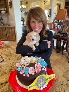 Creme of the Crop Dachshund Puppy - Chicken