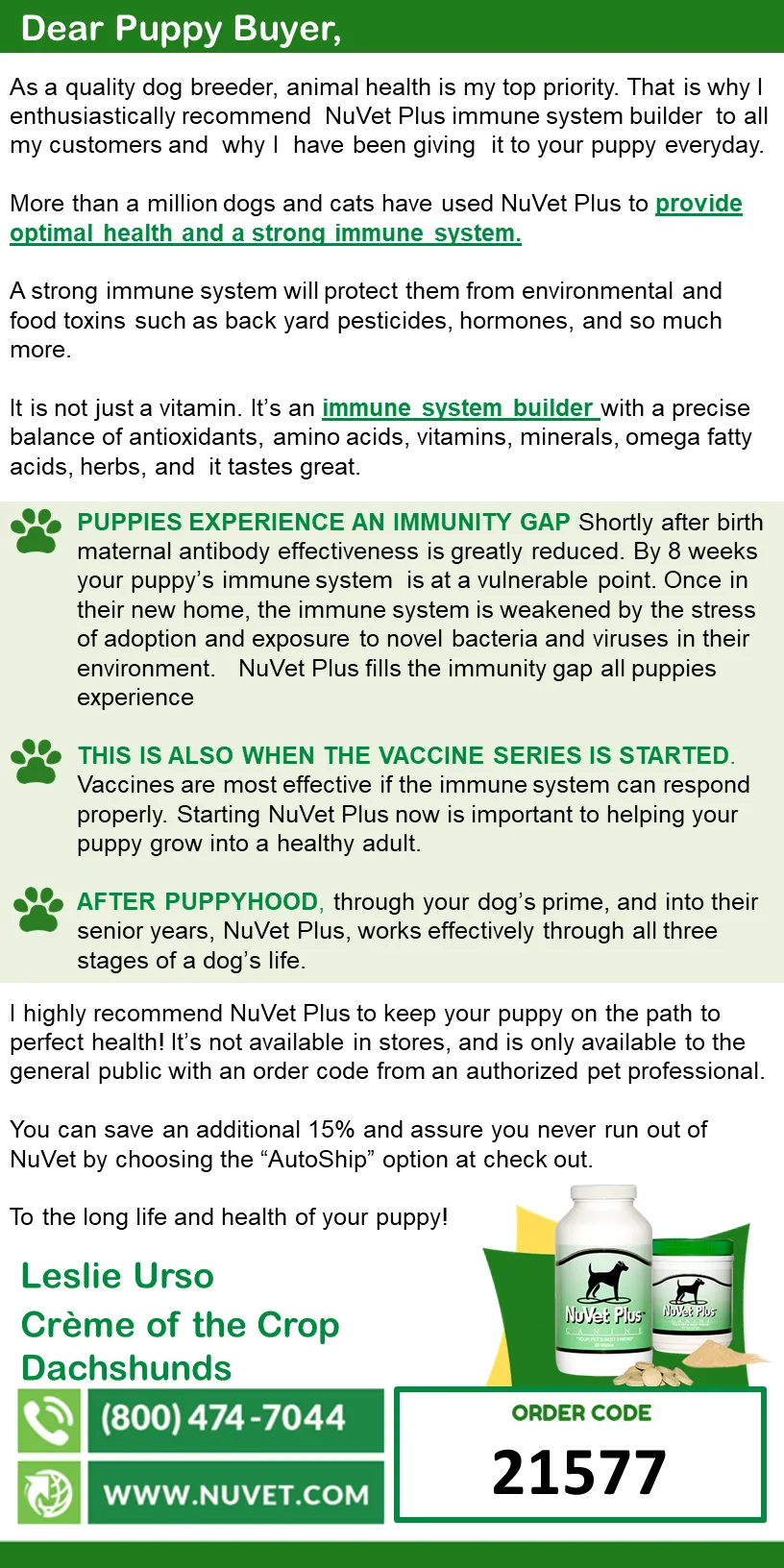 Crème of the Crop English Cream Miniature Dachshunds - English Miniature Cream Dachshund Puppy Buyer Information