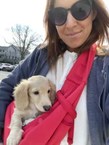 Creme of the Crop Miniature Dachshund Puppy Monkee