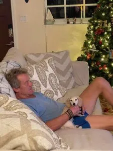 Creme of the Crop Dachshund Puppy - Teddy